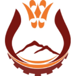 شرکت توسعه معادن و صنایع معدنی پارسیان